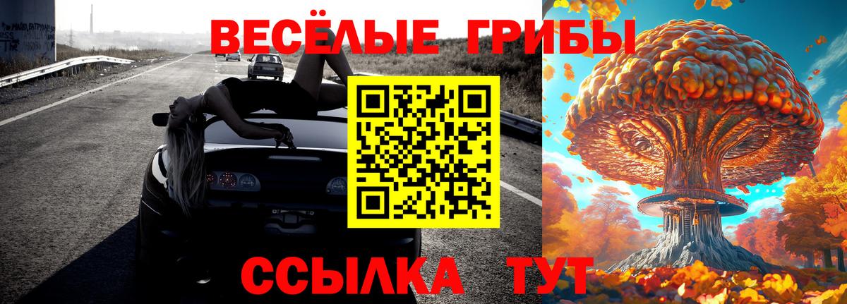 Псилоцибиновые грибы мицелий Избербаш