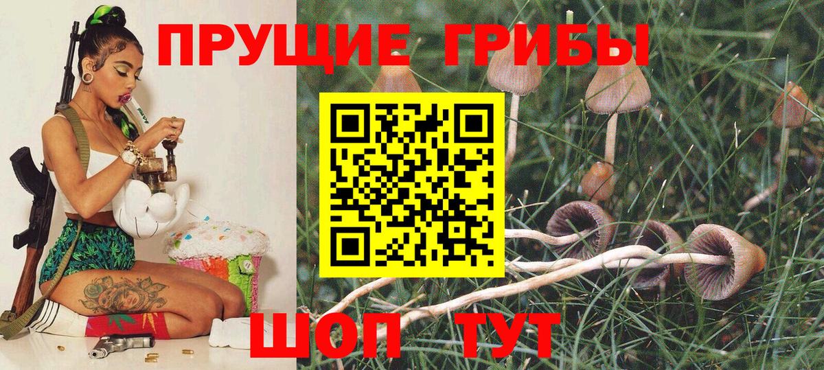 Псилоцибиновые грибы GOLDEN TEACHER  Вход с VPN  Избербаш 